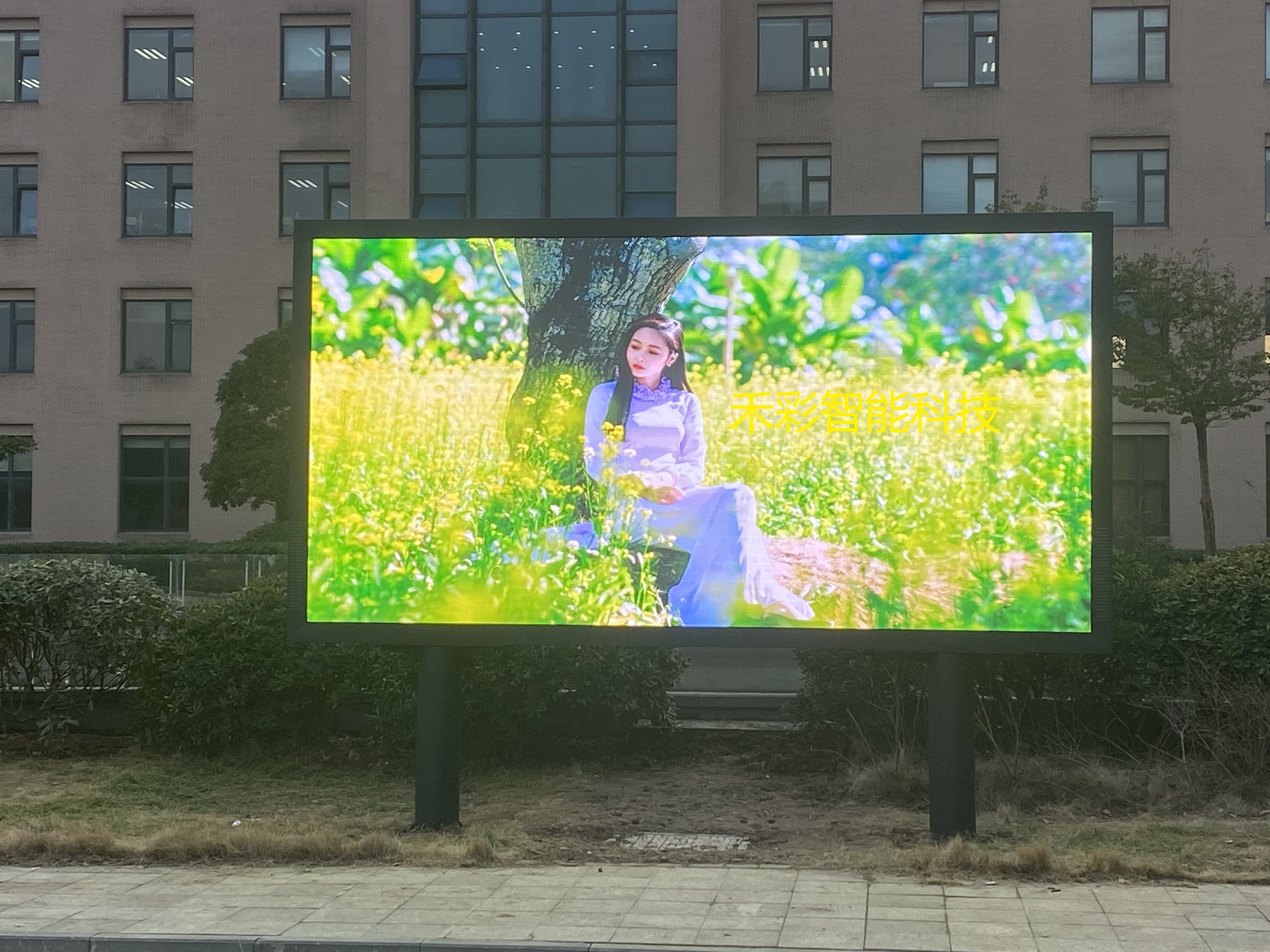 1647330298488842.jpg ok 副.jpg