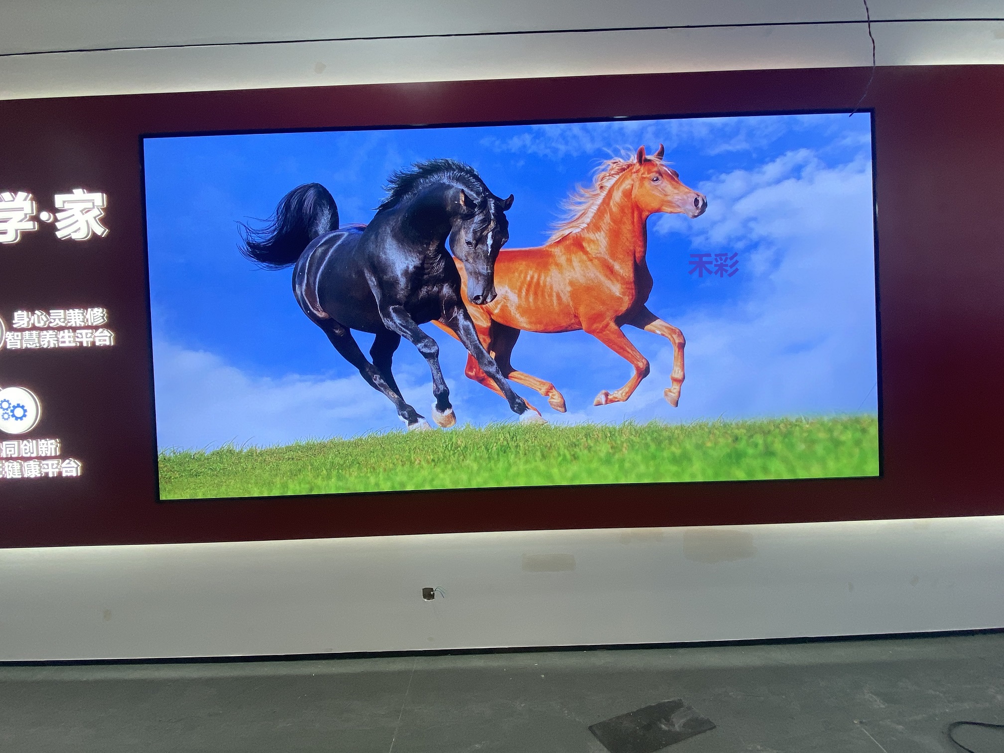 1700277865345114.jpg ok2.jpg